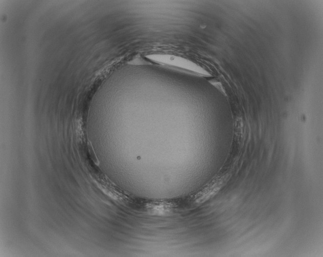 X0000062620564200601181657