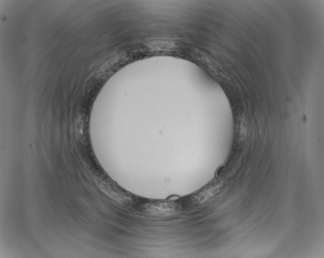 X0000062620567200601181657