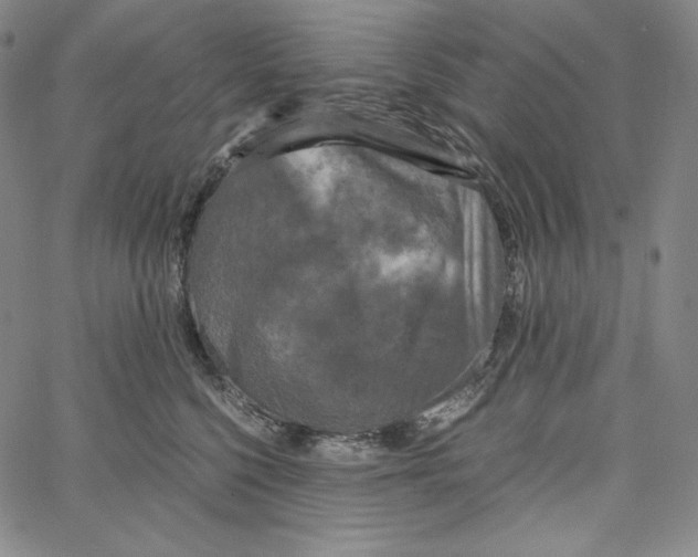 X0000062620568200601181657