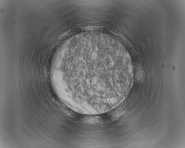 X0000062620569200601181657