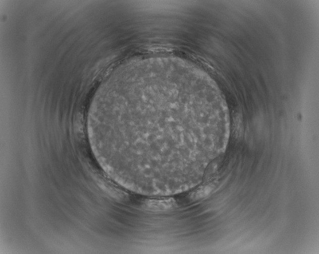 X0000062620571200601181657