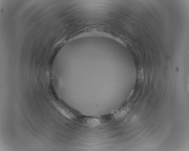 X0000062620572200601181657