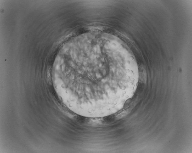 X0000062620573200601181657