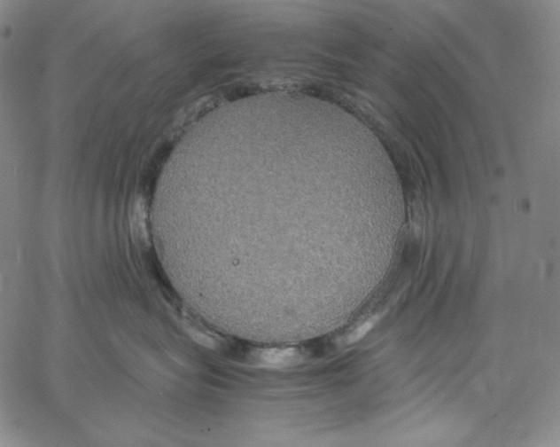 X0000062620575200601181657