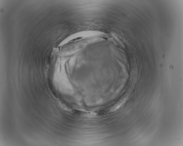 X0000062620576200601181657