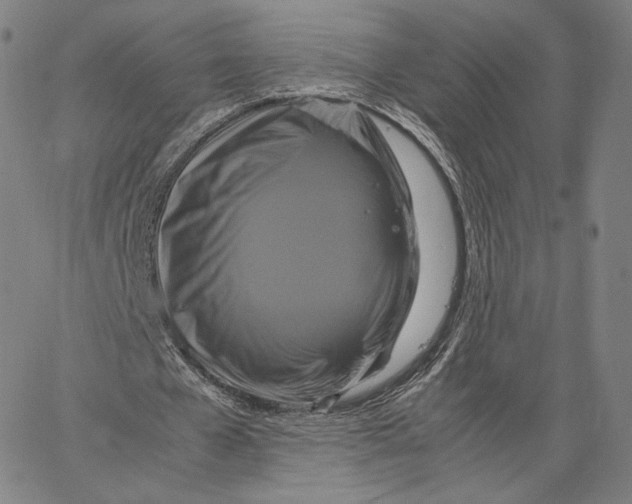 X0000062620577200601181657