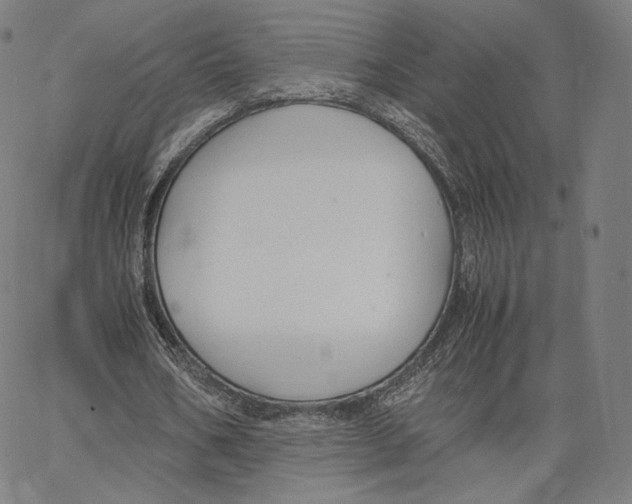 X0000062620578200601181657