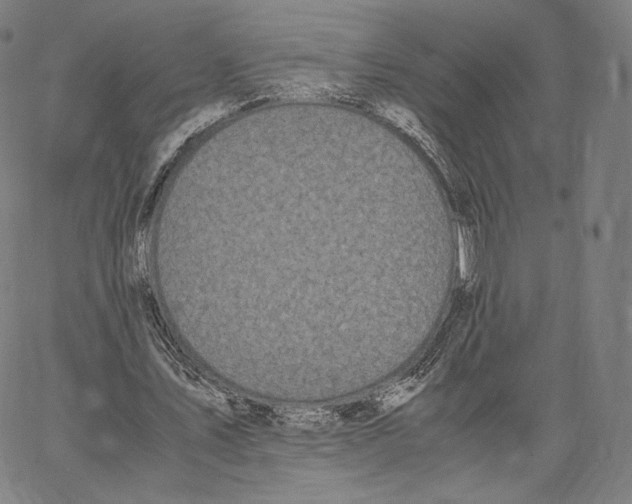 X0000062620579200601181657