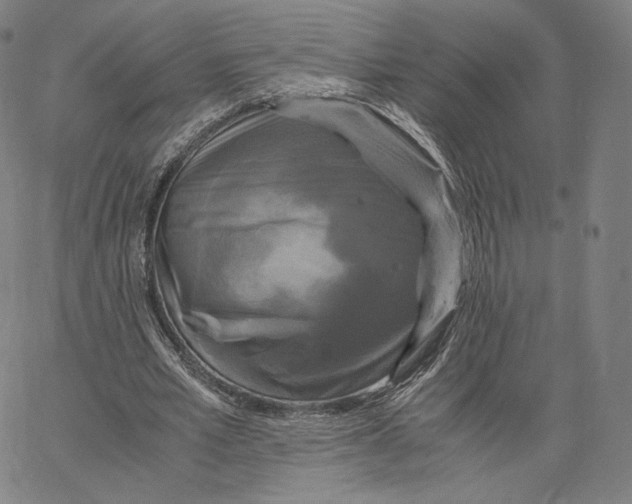 X0000062620581200601181657