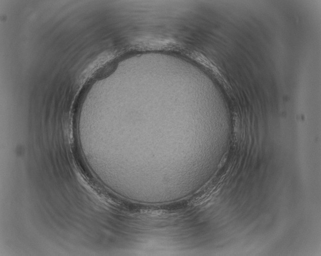 X0000062620582200601181657