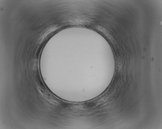 X0000062620583200601181657