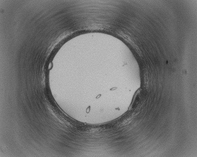 X0000062620584200601181657