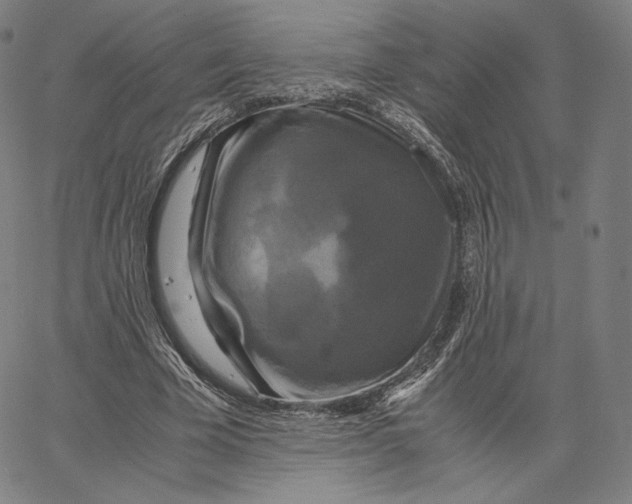 X0000062620585200601181657