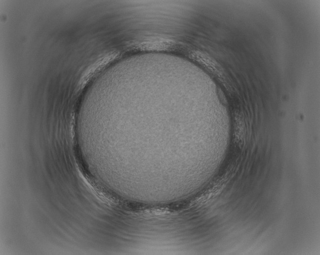 X0000062620586200601181657