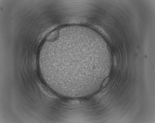 X0000062620588200601181656