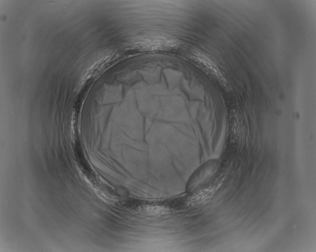 X0000062620590200601181656