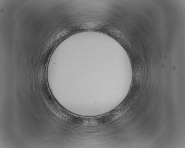 X0000062620591200601181656