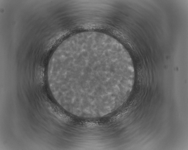 X0000062620592200601181656