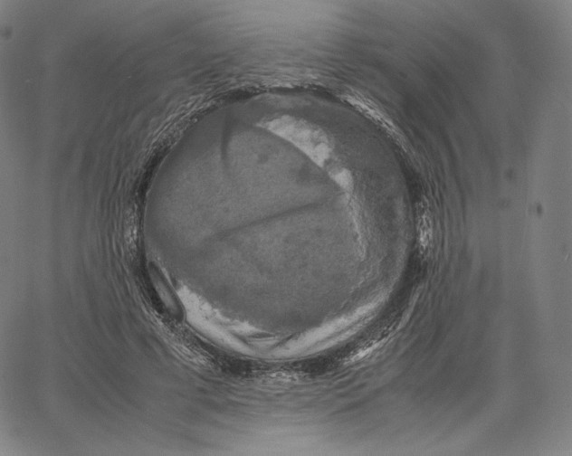 X0000062620593200601181656