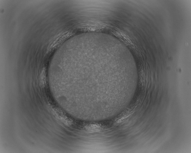 X0000062620594200601181656