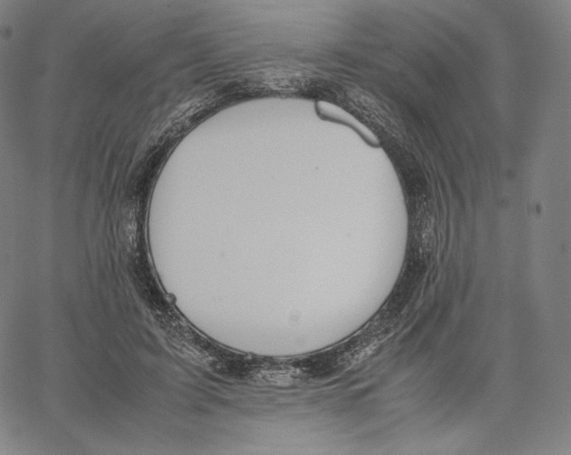 X0000062620595200601181656