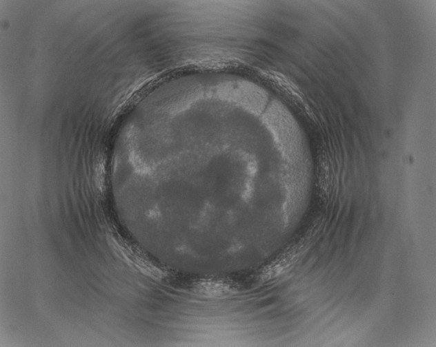 X0000062620596200601181656