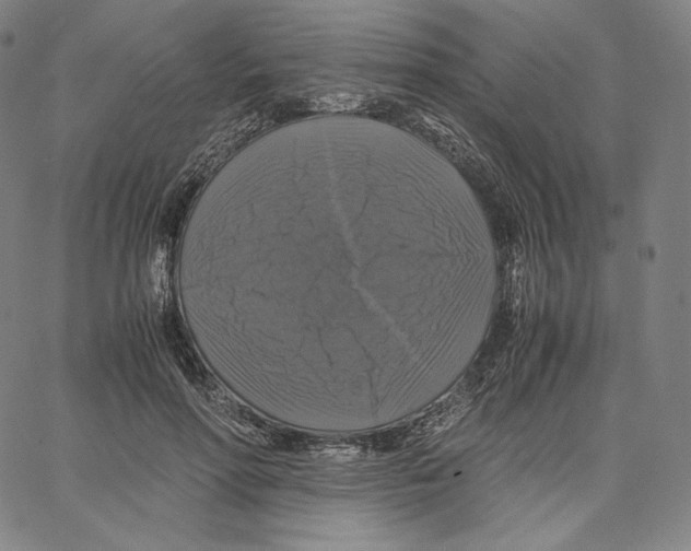 X0000062620598200601181656