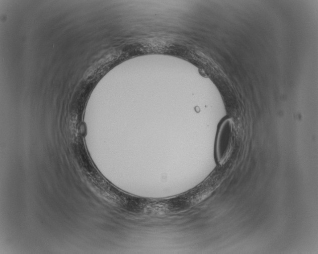 X0000062620599200601181656