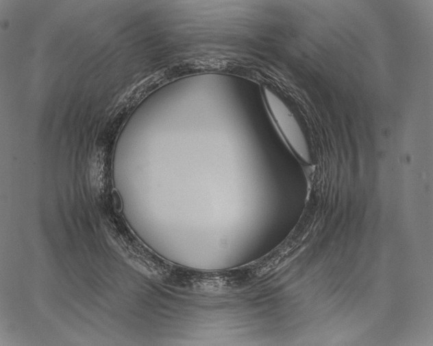 X0000062620600200601181656