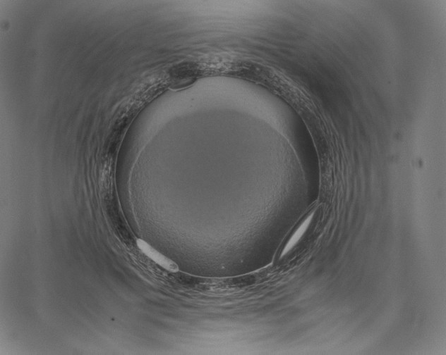 X0000062620601200601181656