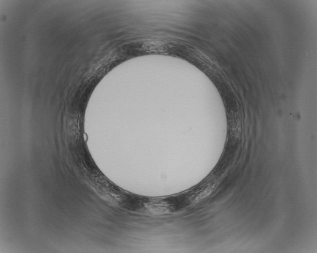 X0000062620603200601181656