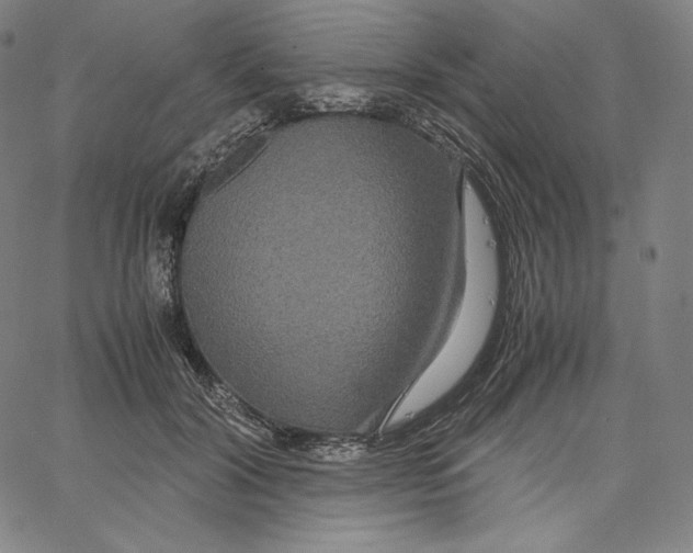 X0000062620604200601181656