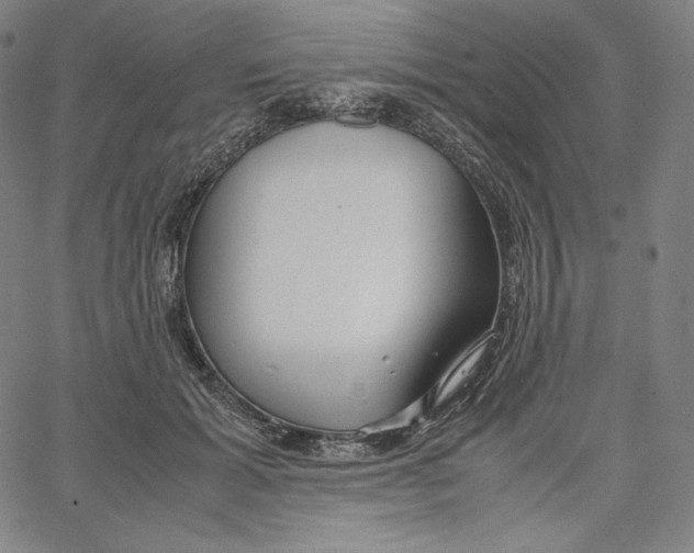 X0000062620605200601181656