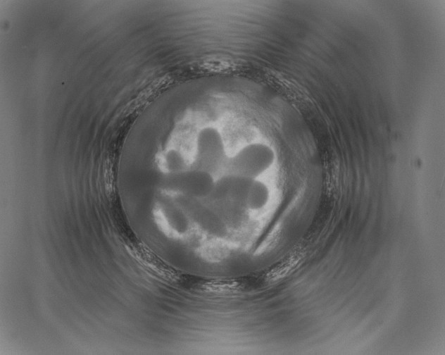 X0000062620606200601181656