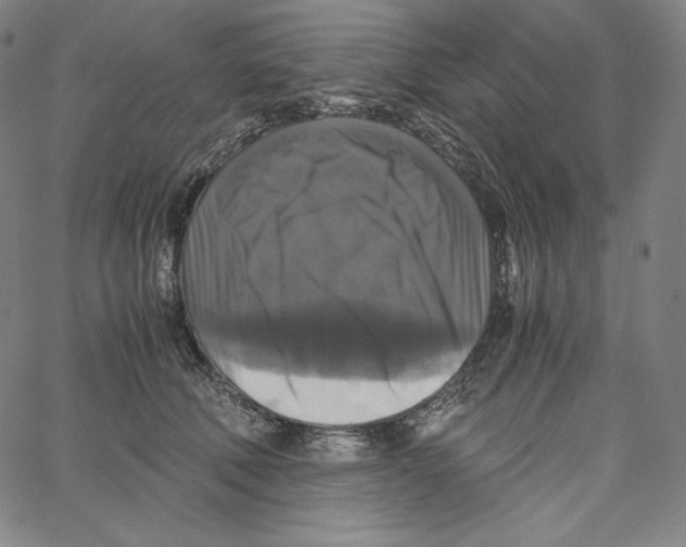 X0000062620610200601181656