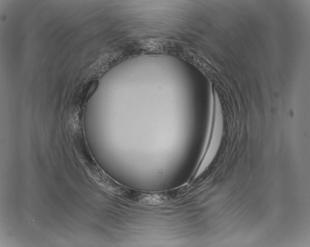 X0000062620611200601181656