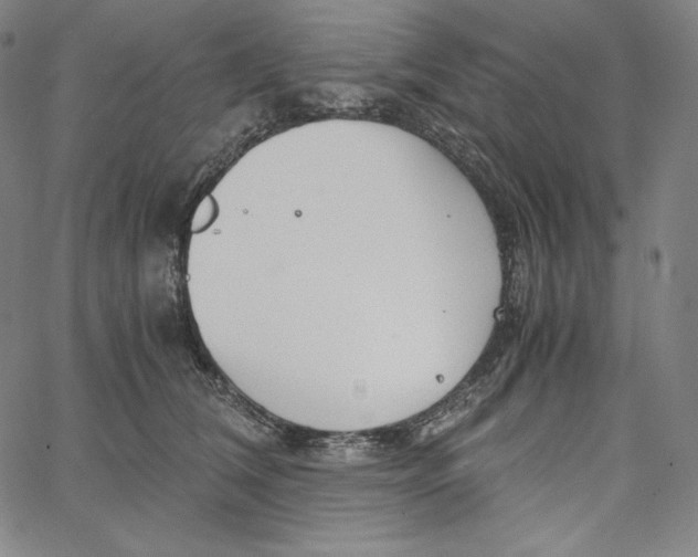 X0000062620612200601181656