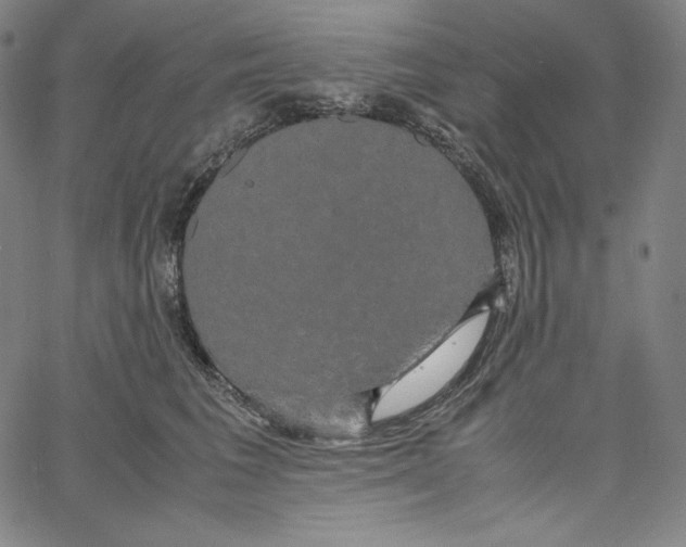 X0000062620613200601181656