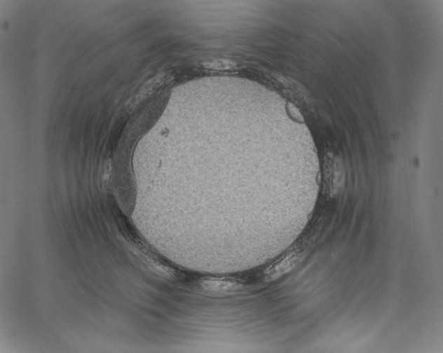 X0000062620614200601181656