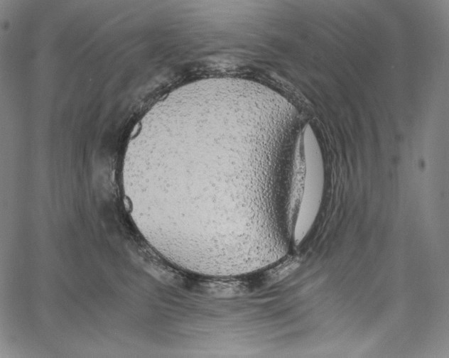 X0000062620615200601181656