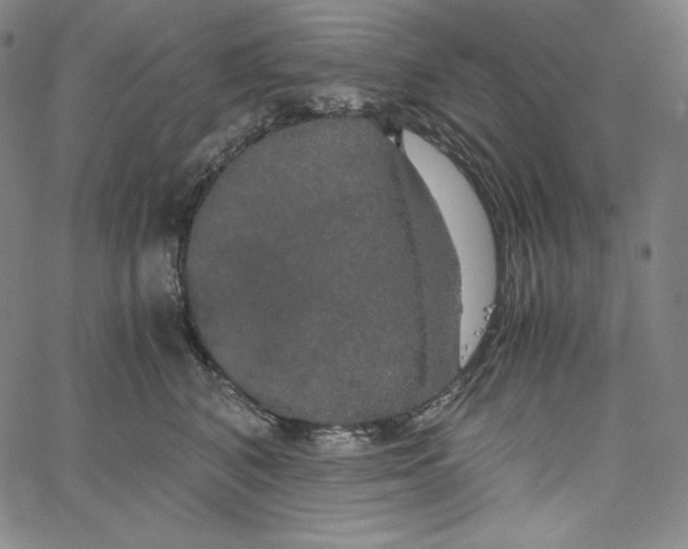 X0000062620616200601181656