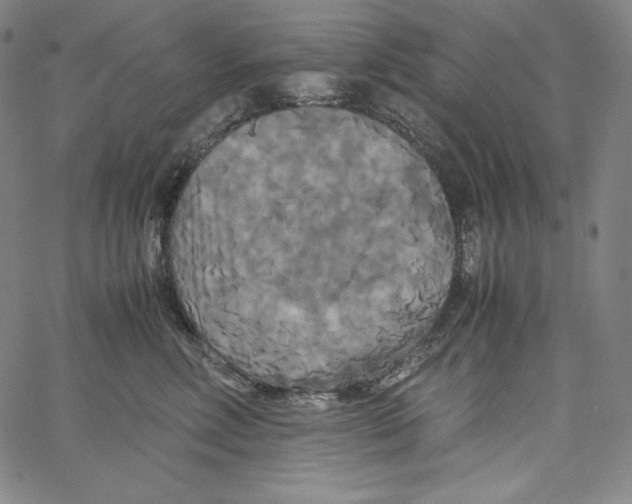 X0000062620618200601181656