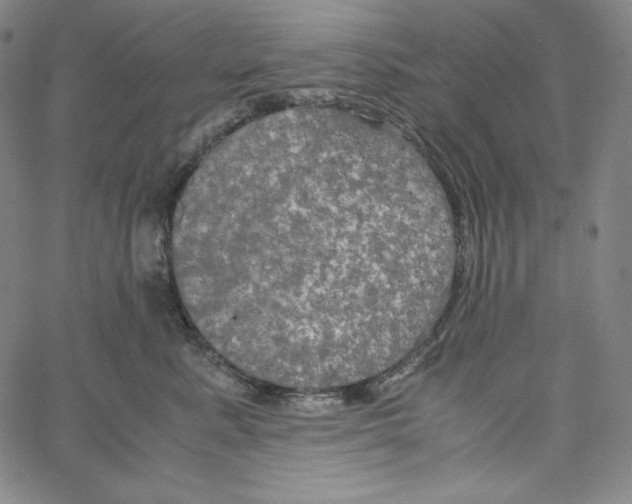 X0000062620619200601181656