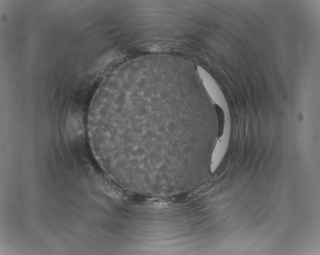 X0000062620620200601181656