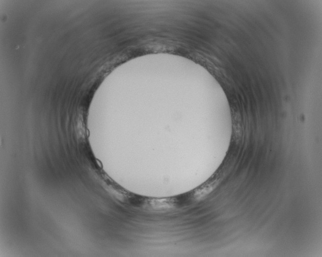 X0000062620622200601181656