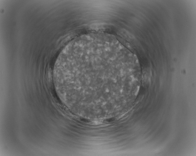 X0000062620623200601181656