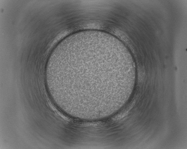 X0000062620625200601181655