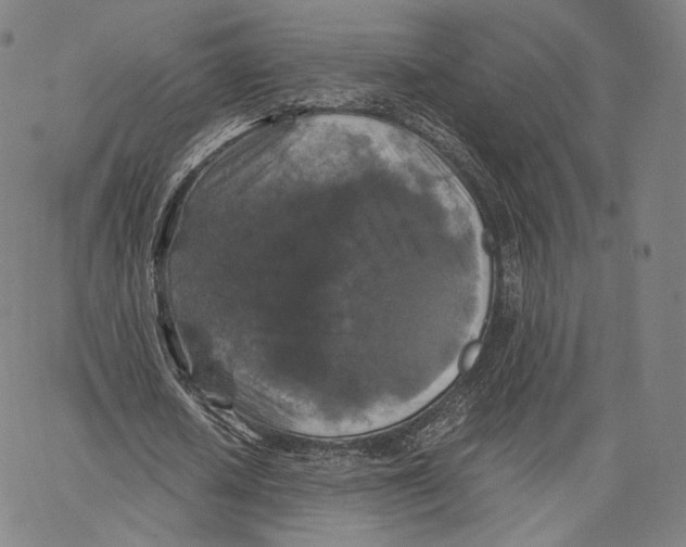 X0000062620626200601181655