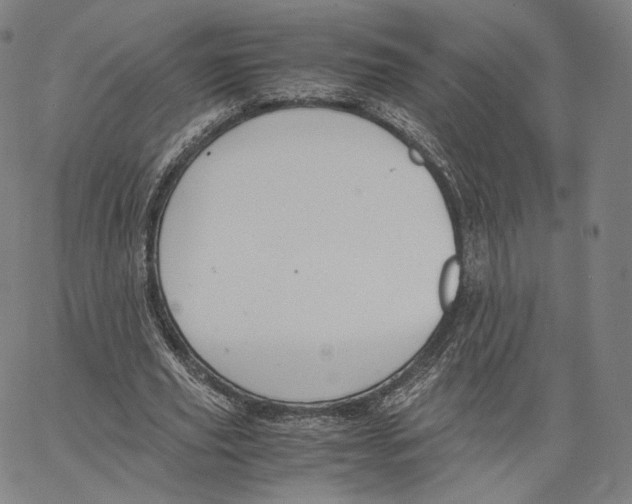 X0000062620629200601181655