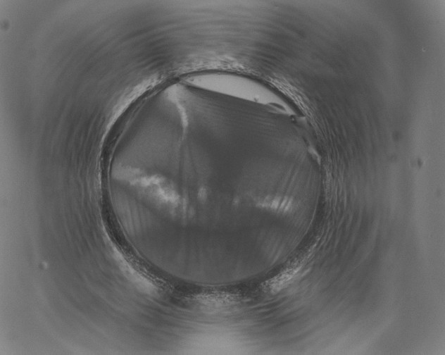 X0000062620630200601181655